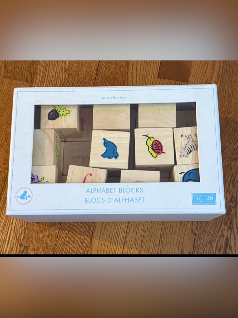 Pottery Barn Kids Alphabet Blocks